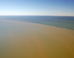 Arial view of sediment polution in the Bay