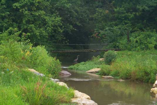 stream lined with large rocks and vegitation